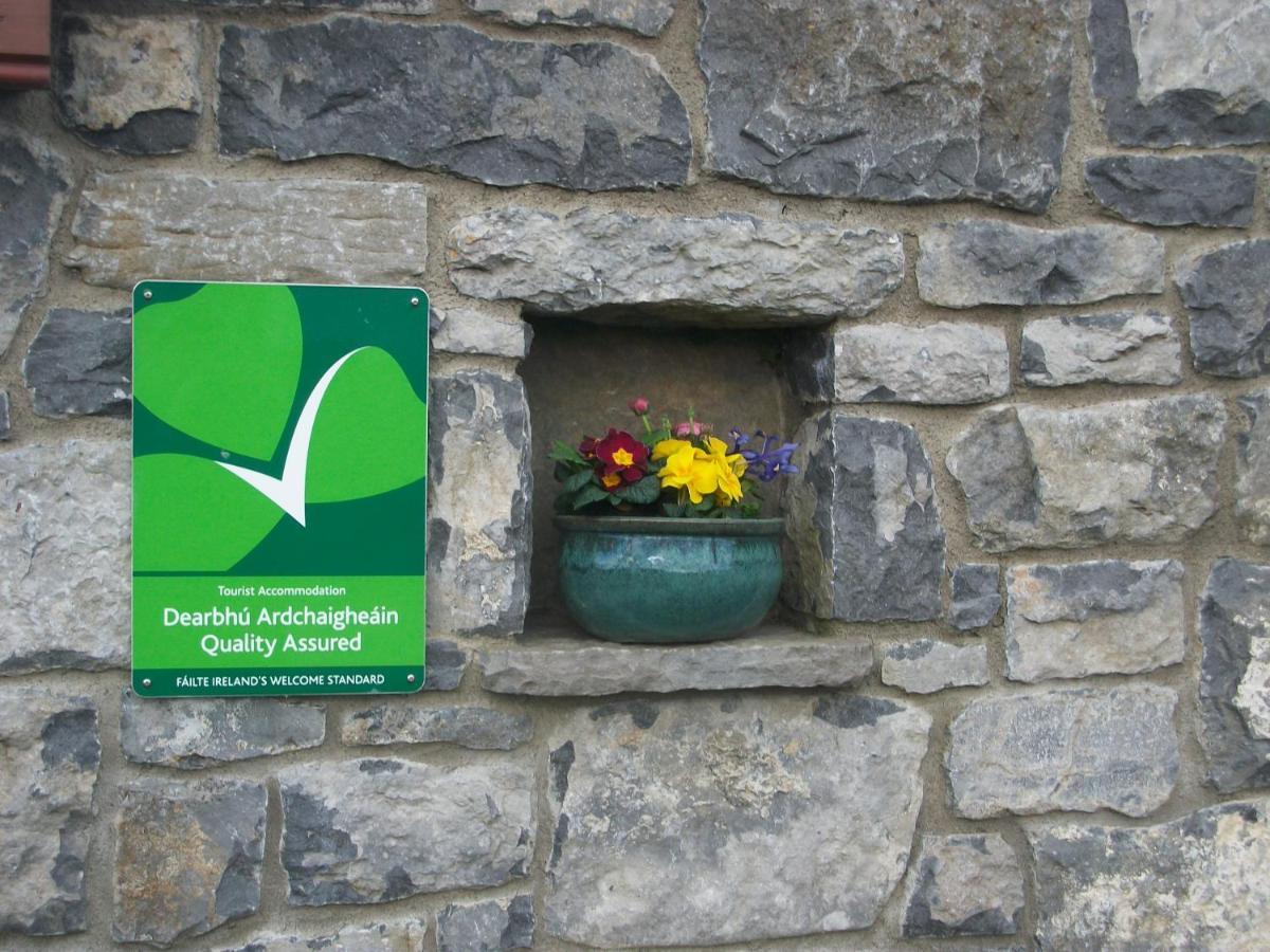 Aille River Tourist Hostel Glamping Doolin Zewnętrze zdjęcie